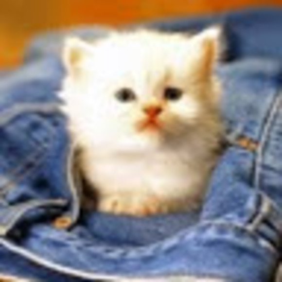 Meet your Posher, Janice - Picture 1 of 1